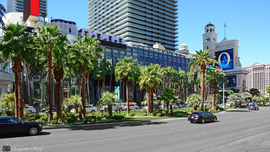 Las Vegas - Image 1